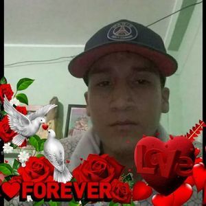 Meet your Posher, Margot